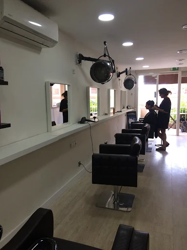 salon2